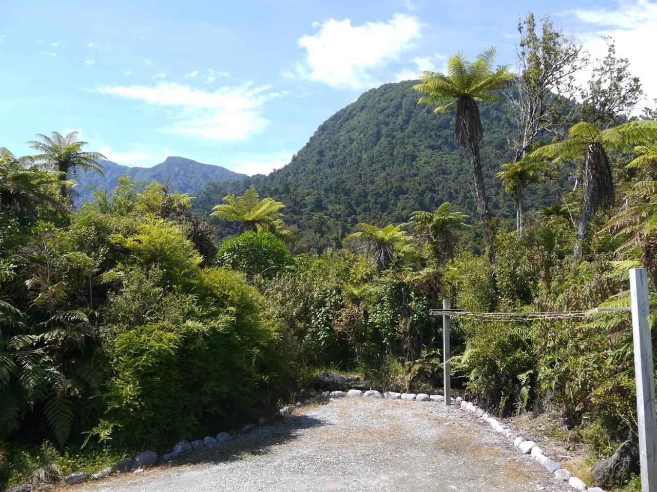 Franz Josef Treetops Bagian luar foto