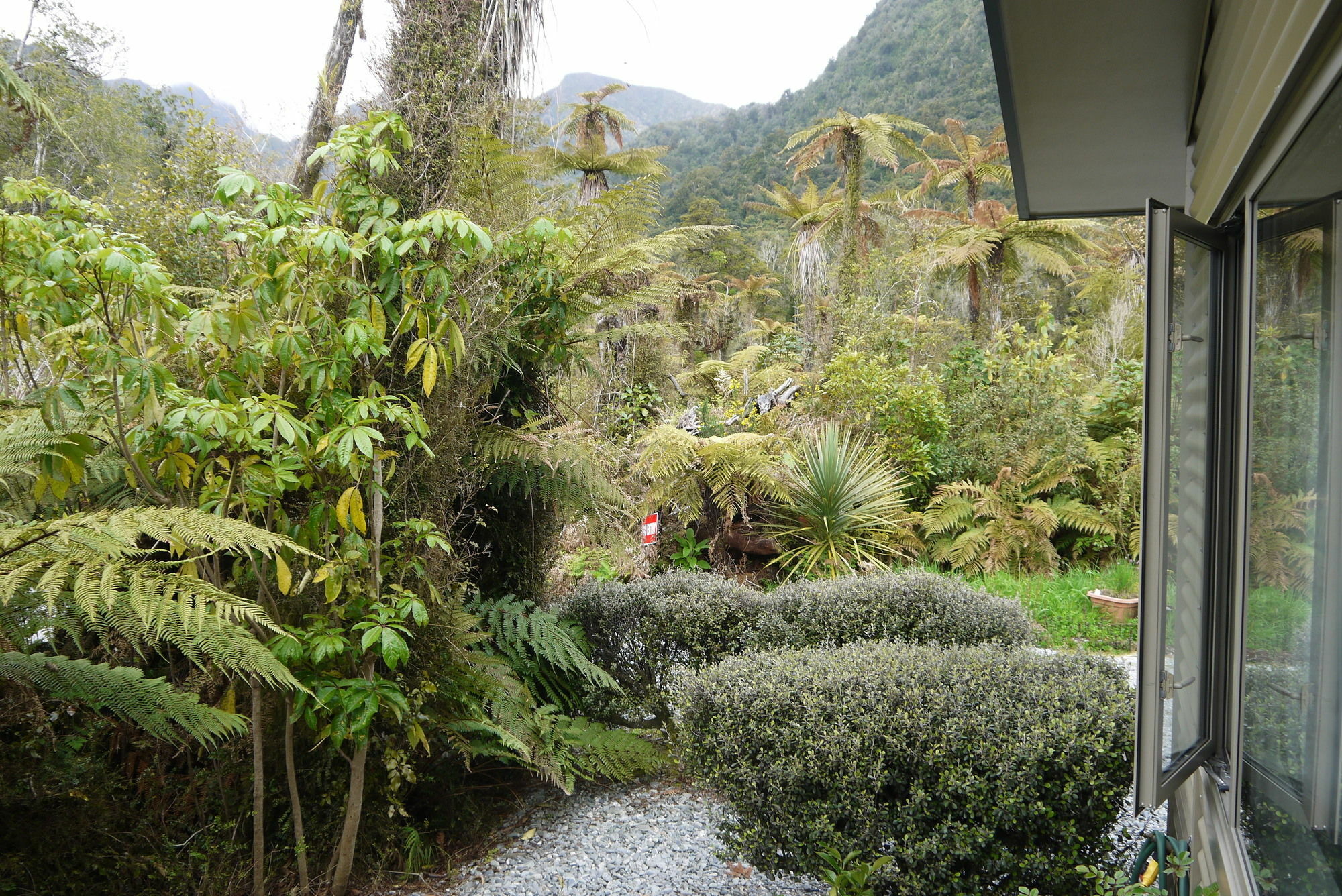 Franz Josef Treetops Bagian luar foto